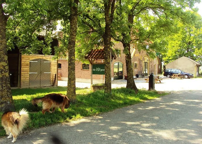 Boerderij De Vrije Geest Toldijk